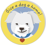 Give a dog a home